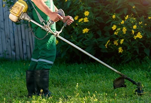 Həyətinizin təmizliyi